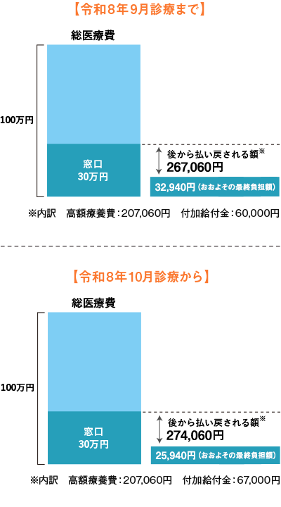 自己負担限度額の適用がない場合